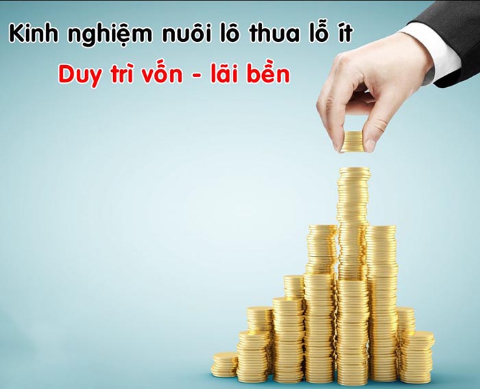 hướng dẫn cách vào tiền nuôi lô đề hiệu quả cao nhất