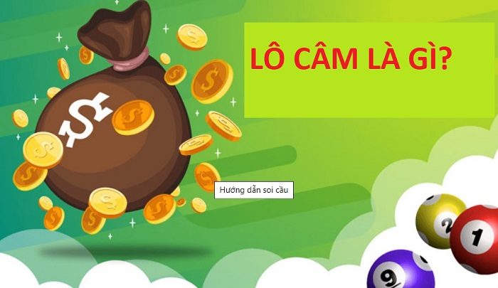 khái niệm lô câm – khi lô câm đầu đít đánh con gì?